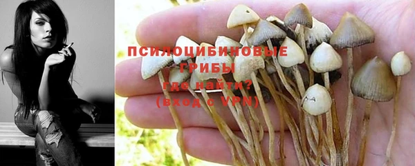 ALPHA-PVP Пестово