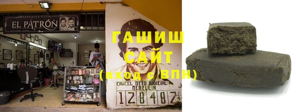 гидра Богородск