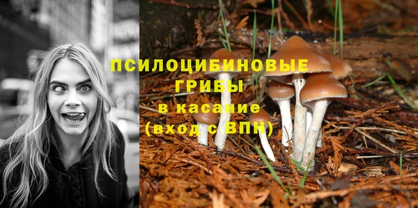 героин Пересвет