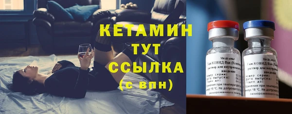 гидра Богородск