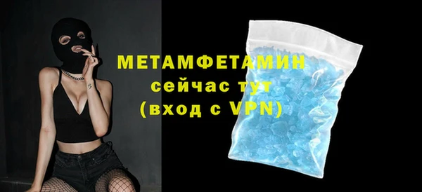 гидра Богородск
