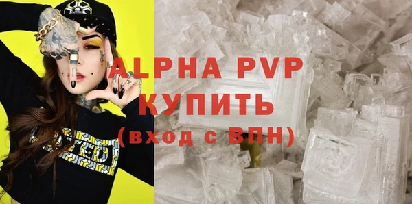 гидра Богородск