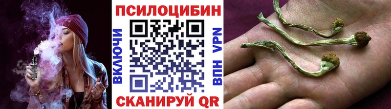 купить наркотики цена  Балашов  Галлюциногенные грибы Magic Shrooms 
